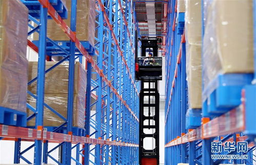 構(gòu)建雙循環(huán)，闖出新天地——從長(zhǎng)三角叉車(chē)產(chǎn)業(yè)看中國(guó)外貿(mào)新動(dòng)能